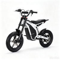 Scooter électrique tout-terrain Lynx à deux roues, moteur 1500W, suspension intégrale, batterie lithium étanche, autonomie 40-60 km, vitesse maximale 25 km/h