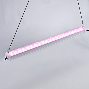 Luces LED Lineales Personalizadas para Cultivo en Invernadero, <span class=keywords><strong>Interlight</strong></span> de Barra Única para Tomate y Pepino - Product Image 3