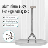 Canne réglable en alliage d'aluminium pour adultes, avec poignée en T, pour personnes handicapées, fournisseur direct