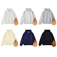 Sweat à capuche épais en coton éponge français brodé graphique personnalisé surdimensionné 420 grammes sweats en molleton pour l'hiver à capuche