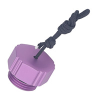 Capuchon anti-poussière pour régulateur de plongée sous-marine, en alliage d'aluminium fileté, pour première étape DIN, capuchon de protection anti-poussière pour valve de bouteille de plongée, violet