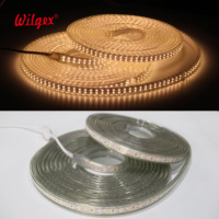 Bande lumineuse LED étanche IP65 40m, double rangée, haute luminosité 180 LED/m, fil de cuivre étamé, résistante aux pulvérisations de sel, 5 ans