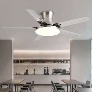 <b>Ceiling</b> Fan <b>Light</b> With <b>Led</b> <b>Light</b> 220V Flush Mount For Living Room And Study Fixed Blade Design - Product Image 1