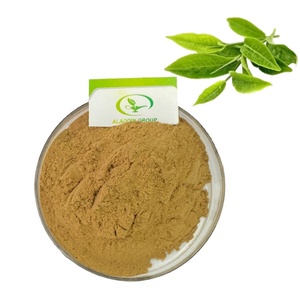 ผงคาเทชินิคสารสกัดจากชาเขียวออร์แกนิกฮาลาล - Product Image 1