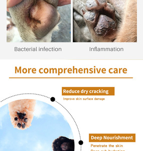 Soins de santé et suppléments pour animaux de compagnie Baume de patte de chien hydratant Pommade de patte de <span class=keywords><strong>chat</strong></span> pour les soins du nez Baume de patte pour animaux de compagnie - Product Image 2