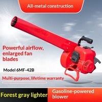 Souffleur de neige et de poussière portable à essence, haute puissance, à deux temps, à entraînement éolien, pour nettoyage de cheminées et extinction d'incendies