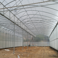 IGreen Tunnel Fraise Serres à Vendre Prix de M2 Serre Agricole