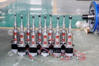Agitateurs à entraînement direct à haute pression personnalisés à petite échelle, accouplement magnétique Magdrive, engrenage en acier inoxydable, moteur 10L, chimique