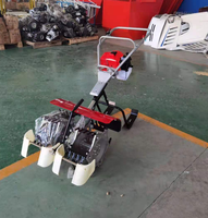 Désherbeuse à riz à 2 rangs et 3 rangs avec moteur à essence, désherbeuse à riz avec moteur à essence, machine à désherber pour riz