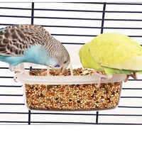 ODM&OEM Mangeoire et abreuvoir pour oiseaux rectangulaires transparents anti-déversement écologiques en plastique pour usage intérieur