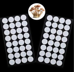 Parches <span class=keywords><strong>de</strong></span> Ventilación EPTFE Estériles Reutilizables <span class=keywords><strong>de</strong></span> Grado Laboratorio con Adhesivo Fuerte para Cultivo <span class=keywords><strong>de</strong></span> Hongos y Hongos Fúngicos <span class=keywords><strong>de</strong></span> Tamaño Personalizado - Product Image 6
