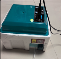 120 pièces de boîte d'incubation d'ajout d'eau entièrement automatique à double puissance pour les œufs à couver.