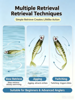 Jig à tête plombée en forme de poisson à queue en T