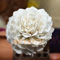 Sola fleur avec écorce pour chambre parfum roseau diffuseur maison désodorisant désodorisant saint valentin noël merci cadeau