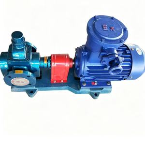 ปั๊มเกียร์โค้งวงกลม Key Long Ycb20 0.6 ฐานแนวนอน มอเตอร์สามเฟสแบบขับตรง - Product Image 1