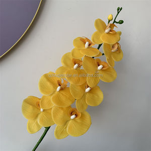 <span class=keywords><strong>Orchidée</strong></span> <span class=keywords><strong>Phalaenopsis</strong></span> <span class=keywords><strong>jaune</strong></span> haut de gamme en latex B-802, fleurs au toucher réel, <span class=keywords><strong>tige</strong></span> unique, 9 têtes, grande branche d'<span class=keywords><strong>orchidée</strong></span> <span class=keywords><strong>Phalaenopsis</strong></span> - Product Image 5