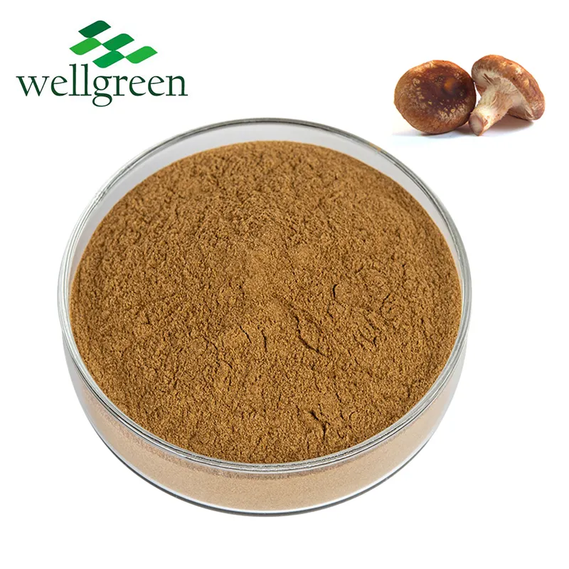 Wellgreen Manufacturer 30% Polysaccharides Powder Shiitake Mushroom Extract Powder