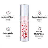 Vente en gros de rouge à lèvres liquide longue durée personnalisé à la vitamine E, brillant à lèvres hydratant aux extraits de fleurs et de plantes, huile de soin des lèvres quotidienne