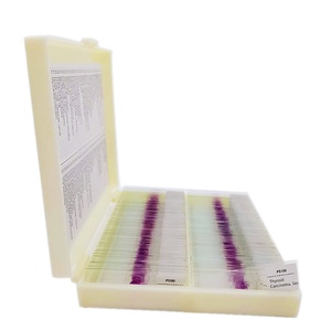 100個の人間の病気の病理学準備されたスライド準備された顕微鏡スライドを教える - Product Image 2