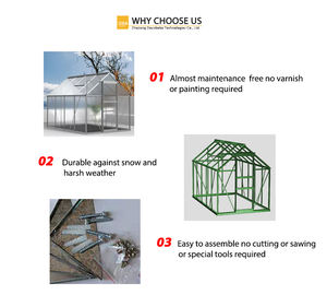 6x8 ft Strong <span class=keywords><strong>Hobby</strong></span> serra Kit Heavy Duty rivestito famiglia cortile serra per giardino - Product Image 6