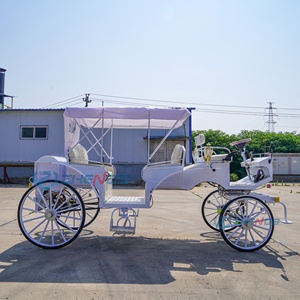Simple White Electric Sightseeing Carriage/customized Electric Sightseeing Carriage Sells Well - Product Image 6