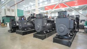 Alternateur synchrone à excitation sans balais AC 100 % cuivre Tekins TKI-4C, 250 kVA 200 kW, 50 Hz, silencieux, diesel, ATS, prix usine - Product Image 5