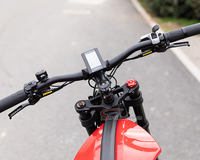Vélo tandem le plus populaire E Bike Fat Tire 500W Moto électrique Citycoco Scooters électriques