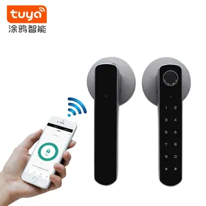 Smart Home Systeem Tuya Bluetooth Digitale Elektrische Slot Met Usb Vingerafdruk Hotel Lock