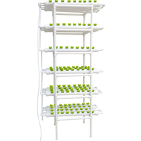 Système hydroponique vertical d'intérieur de haute qualité à 216 trous et 6 niveaux, kit de culture NFT