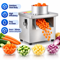 Machine à découper les légumes commerciale en acier inoxydable, hachoir électrique pour aliments avec grilles de coupe optionnelles de 6 à 30 mm pour restaurants