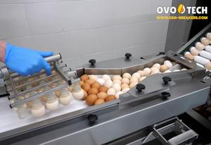 Rompehuevos OVO-TECH RX-2, la Separación Automatizada de Cáscaras de Huevo, Capacidad de 13000 Huevos por Hora - Product Image 4
