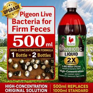 Высокоэффективные живые бактерии Lactobacillus: пробиотики для здоровья кишечника, контроля диареи, ежедневные пробиотики для гоночных голубей, 500 мл - Product Image 1