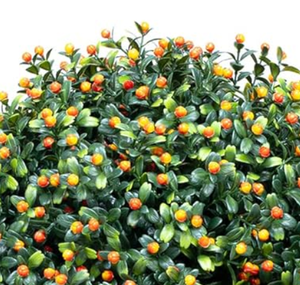 Plante Artificielle Avec Boule <span class=keywords><strong>De</strong></span> Fruit Topiaire Bonsaï <span class=keywords><strong>Petit</strong></span> Arbre Plantes Artificielles Pour La Maison Décoration Intérieure et Extérieure en Pots - Product Image 5