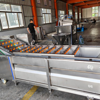 Groente- en fruitwasmachine met motor, multifunctionele reinigingsapparatuur van roestvrij staal