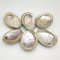 8-10cm Stock En Gros Décor Nautique Coquillage Plage Mariage Coquillages Océan Décor Bijoux DIY Shell Porte-Savon Aquarium Décor À La Maison