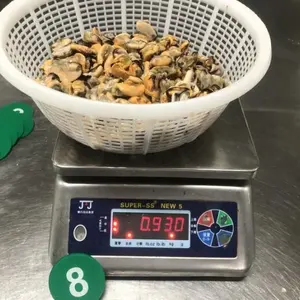 热卖无壳米蒂勒斯肉贻贝肉