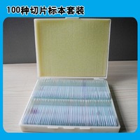 Human Histology Microscope Teaching Slides for Microscopic Science Research & Educational Purpose Prepared Slides