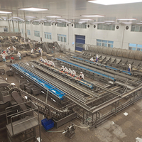 Leadworld – ligne de Production automatique de fruits, légumes, raisins, pêche jaune, fraise, fruits en conserve, haute précision