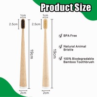Custom Logo biodégradable poils de sanglier brosse à dents en bambou voyage adultes
