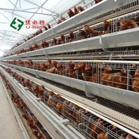 Système de reproduction bon marché cages pour poules pondeuses poulets de ferme équipement de volaille prix