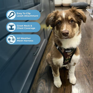 <span class=keywords><strong>Harness</strong></span> anjing semua cuaca Mesh reflektif tanpa tarik, <span class=keywords><strong>Harness</strong></span> untuk anjing kucing kecil sedang aman kait pengencang Loop cincin ganda - Product Image 5