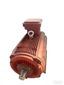 YE3-160L-11KW 6극 삼상 비동기 전동기, 50Hz, 380V, 일체형, 공장 직판 - Product Image 6