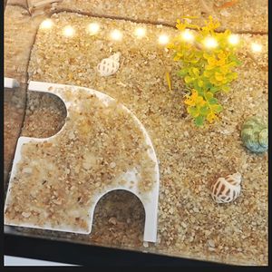 Abs Fish Viewing Tunnel Aquarium Decor White And Black Eco Bottle Shape Modular Hideout For Ornamental Fish - Product Image 3