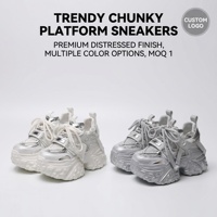 Vente en gros de baskets Y2K argentées pour femmes, avec une plateforme de 8 cm, semelle épaisse industrielle, style chunky