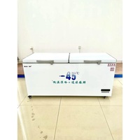 Congélateur horizontal à température unique pour la maison, 150l, 200l, 250l, 350l