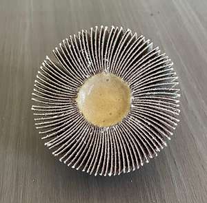 Stock en gros 25*6 tête de meulage <span class=keywords><strong>Dremel</strong></span> Tête de meulage - Product Image 5