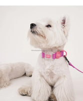 Collier pour chien et chat de luxe personnalisé avec logo, en polyester enduit de PVC souple, imperméable, réglable, avec boucle transparente et anneau en D