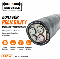 Câble Armigron Classe F LVAV NAYBY STA 4G16mm2 VLV22 en aluminium avec isolation PVC et armure de bandes d'acier CPR Eca IEC Angola EESCABLE