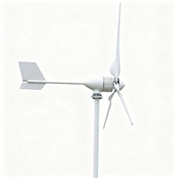 Kit d'Éolienne Horizontale 2000W 24V/48V avec 3 Pales et Contrôleur de Charge MPPT pour Usage Domestique