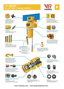 10 Meter 1T <strong>2</strong> <strong>Ton</strong> Electric <strong>Chain</strong> <strong>Hoist</strong> Custom Lifter Crane Lifts Machines Electric <strong>Hoists</strong> for Crane - Product Image 5